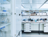 Laboratory environment with tables and cabinets