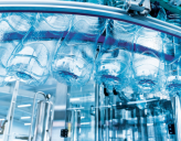 Food industry | Water bottle