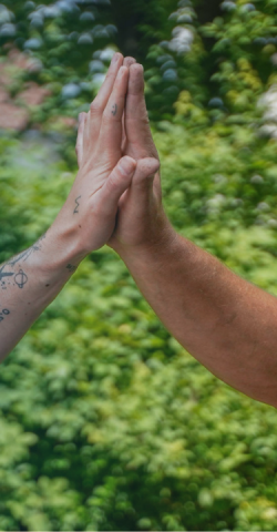Two hands striking a green background/bushes & trees